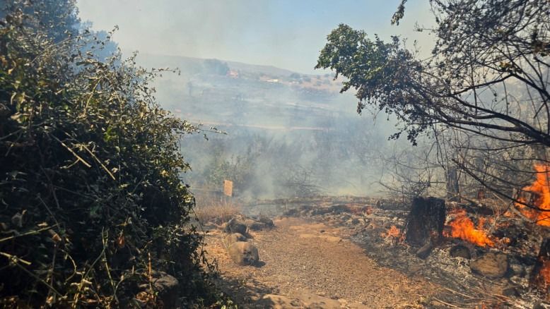 Incendie dévastateur en Galilée: les visiteurs ont été évacués de la réserve naturelle Tel Dan