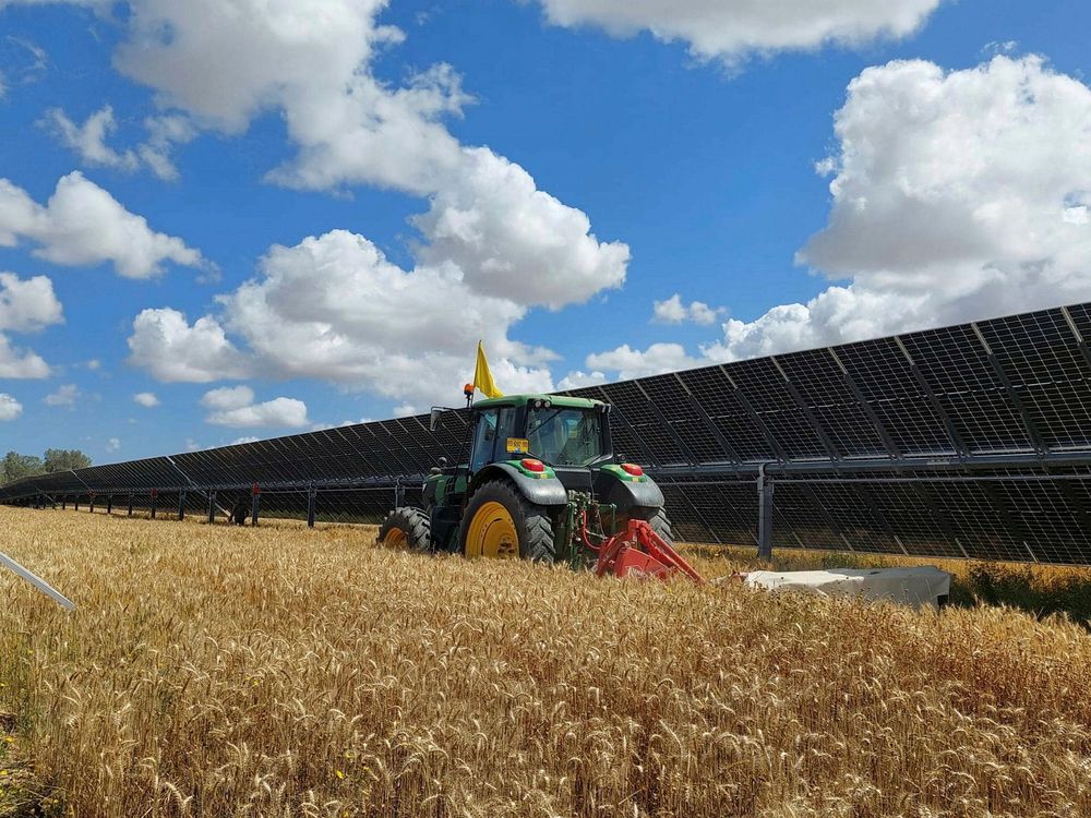 Après des années de tergiversations, une coopération gouvernementale devrait accélérer l'installation de panneaux solaires sur les terres agricoles