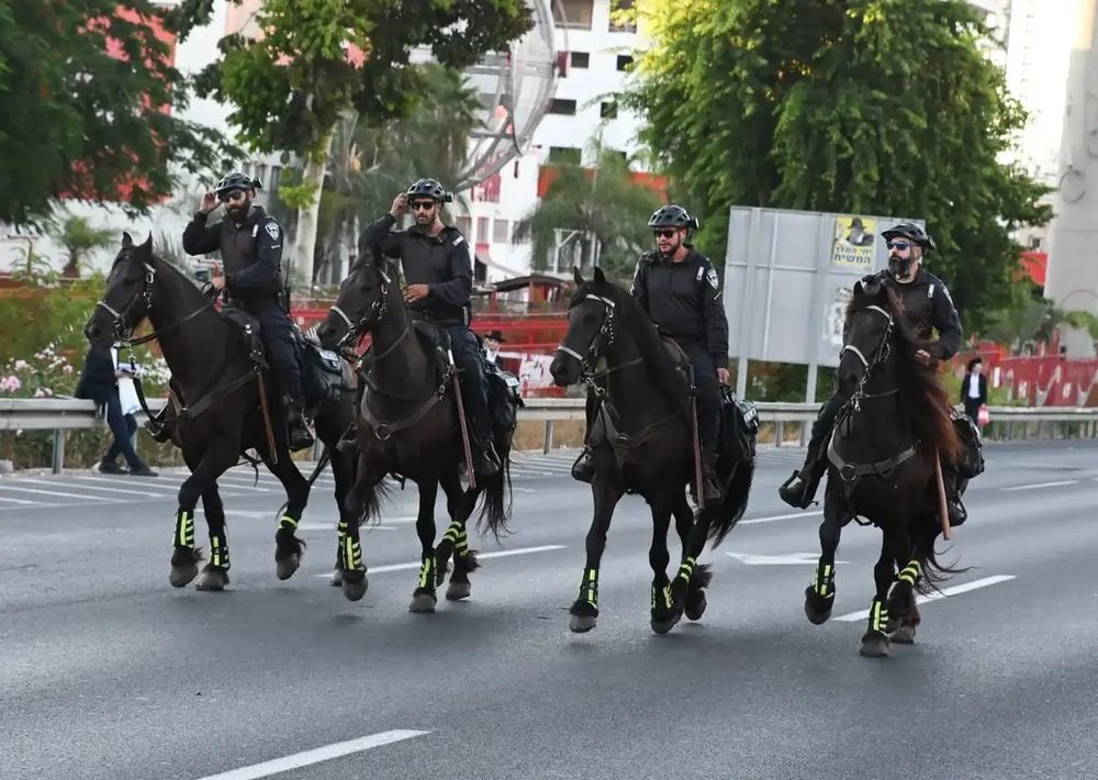 La police a modifié le protocole d'utilisation des chevaux lors des manifestations - les pratiques dangereuses restent | Première publication